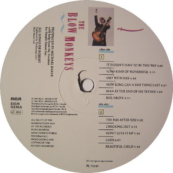 The Blow Monkeys ~ She Was Only A Grocer's Daughter (Vinyl) - Djungel & Jazz