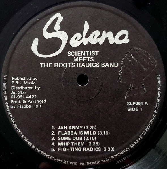 Scientist Meets The Roots Radics : Scientist Meets The Roots Radics (LP, Album)