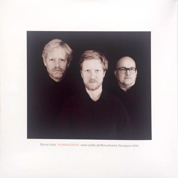 Helge Lien Trio ~ Guzuguzu (Vinyl) - Djungel & Jazz