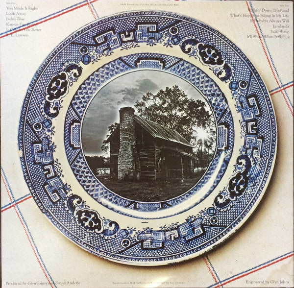 The Ozark Mountain Daredevils ~ It'll Shine When It Shines (Vinyl) - Djungel & Jazz