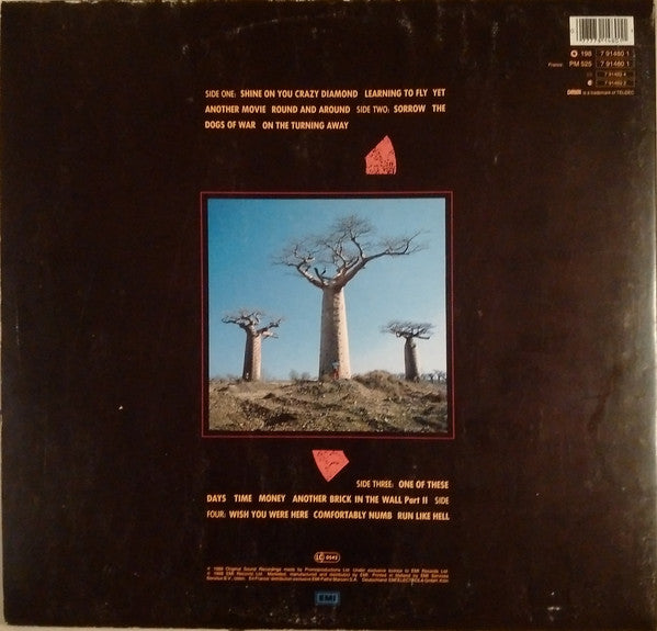 Pink Floyd ~ Delicate Sound Of Thunder (Vinyl) - Djungel & Jazz