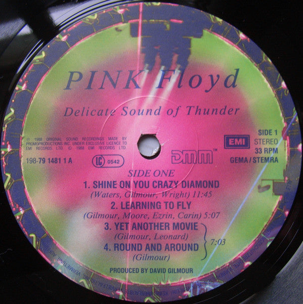 Pink Floyd ~ Delicate Sound Of Thunder (Vinyl) - Djungel & Jazz