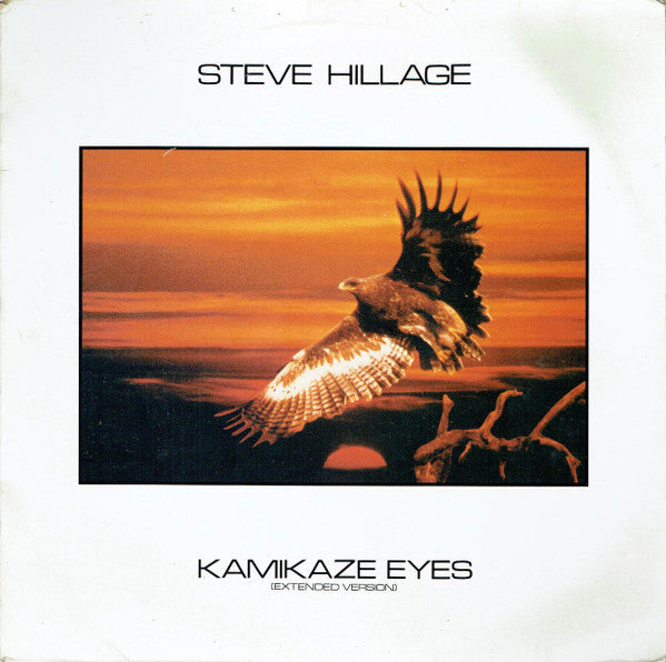 Steve Hillage ~ Kamikaze Eyes (Vinyl) - Djungel & Jazz