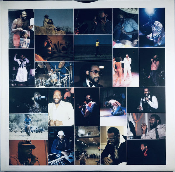 Marvin Gaye : Dream Of A Lifetime (LP, Album)