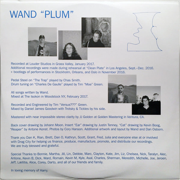 Wand ~ Plum (Vinyl) - Djungel & Jazz