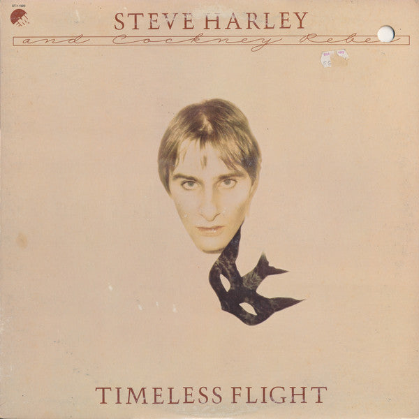 Steve Harley And Cockney Rebel ~ Timeless Flight (Vinyl) - Djungel & Jazz