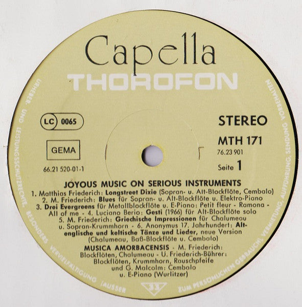 Musica Amorbacensis ~ Joyous Music On Serious Instruments (Vinyl) - Djungel & Jazz