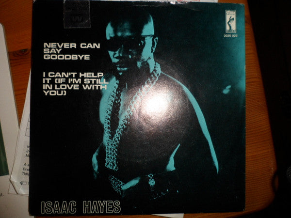 Isaac Hayes ~ Never Can Say Goodbye (Vinyl) - Djungel & Jazz