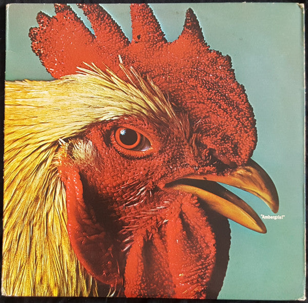 Ambergris ~ Ambergris (Vinyl) - Djungel & Jazz