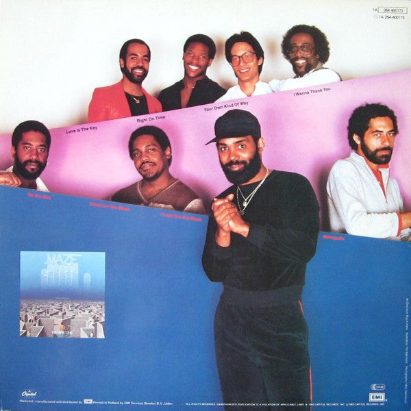 Maze Featuring Frankie Beverly ~ We Are One (Vinyl) - Djungel & Jazz