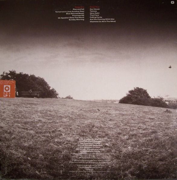 Madness ~ The Rise & Fall (Vinyl) - Djungel & Jazz