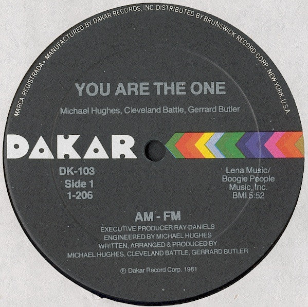 AM - FM* : You Are The One (12")