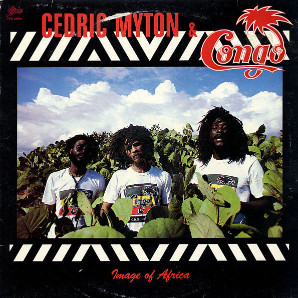 Cedric Myton & The Congos : Image Of Africa (LP)