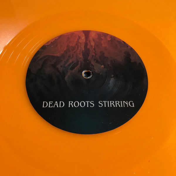 Elder ~ Dead Roots Stirring (Vinyl) - Djungel & Jazz