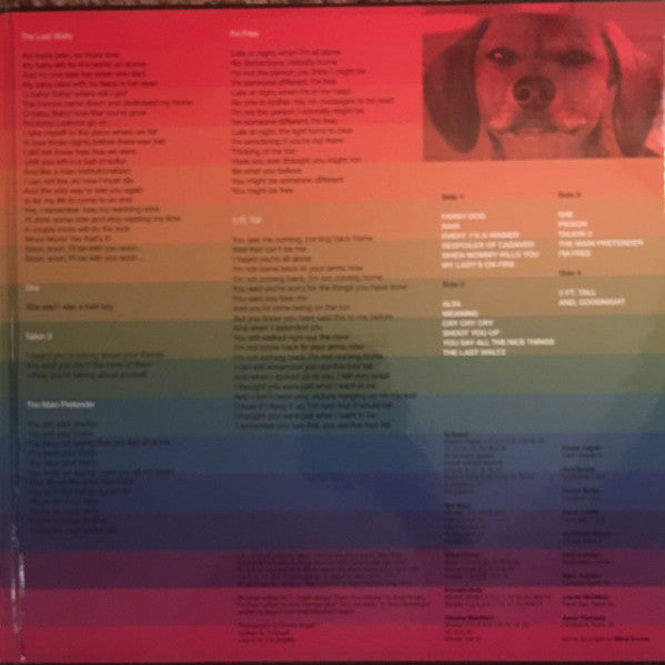 Ty Segall & Freedom Band ~ Freedom’s Goblin (Vinyl) - Djungel & Jazz
