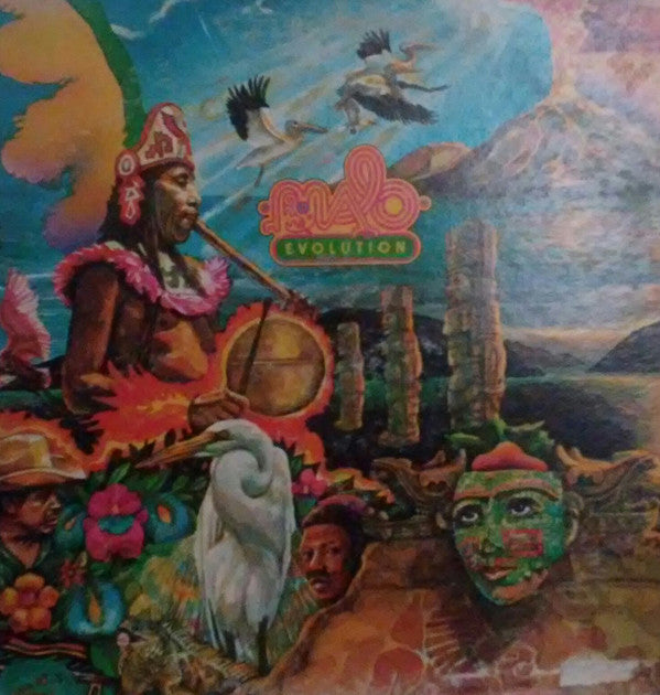 Malo ~ Evolution (Vinyl) - Djungel & Jazz