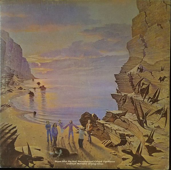 The Flock ~ Dinosaur Swamps (Vinyl) - Djungel & Jazz