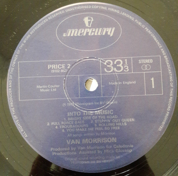 Van Morrison ~ Into The Music (Vinyl) - Djungel & Jazz