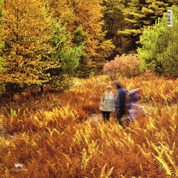 Yo La Tengo ~ There's A Riot Going On (Vinyl) - Djungel & Jazz