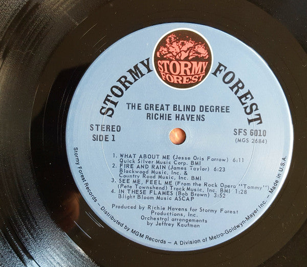 Richie Havens ~ The Great Blind Degree (Vinyl) - Djungel & Jazz