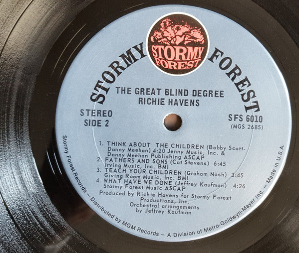 Richie Havens ~ The Great Blind Degree (Vinyl) - Djungel & Jazz