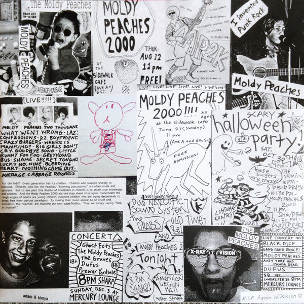 The Moldy Peaches ~ The Moldy Peaches (Vinyl) - Djungel & Jazz