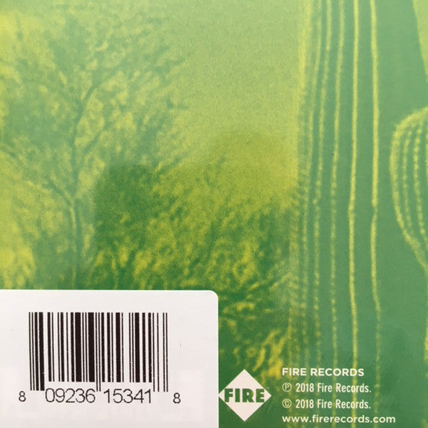 Giant Sand ~ Returns To Valley Of Rain (Vinyl) - Djungel & Jazz