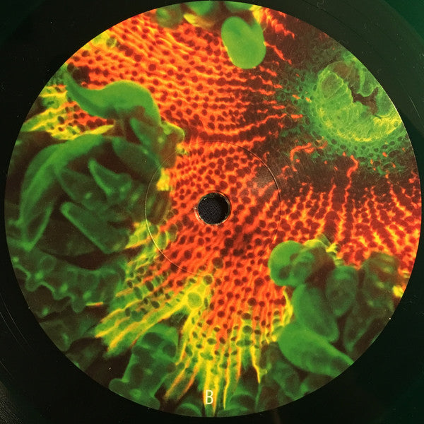 Animal Collective ~ Tangerine Reef (Vinyl) - Djungel & Jazz