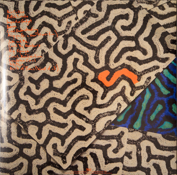 Animal Collective : Tangerine Reef (2xLP, Album)