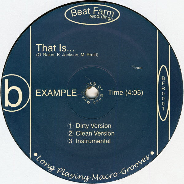 Example ~ We Write The Songs b/w That Is... (Vinyl) - Djungel & Jazz