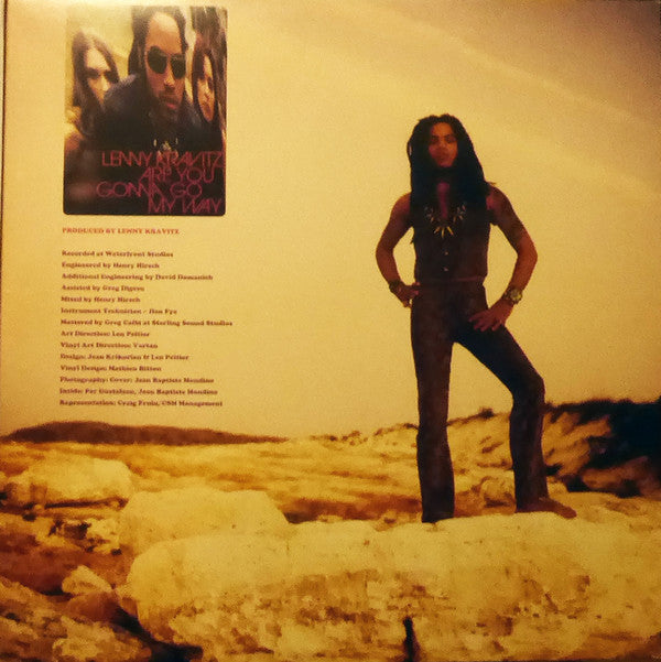 Lenny Kravitz ~ Are You Gonna Go My Way (Vinyl) - Djungel & Jazz