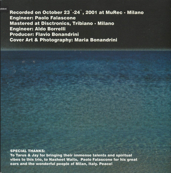 Michael Marcus Trio ~ Blue Reality (Vinyl) - Djungel & Jazz