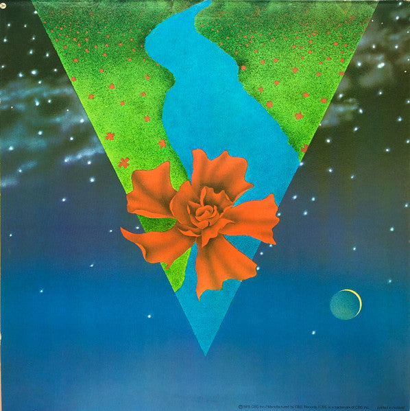Mahavishnu Orchestra ~ Visions Of The Emerald Beyond (Vinyl) - Djungel & Jazz