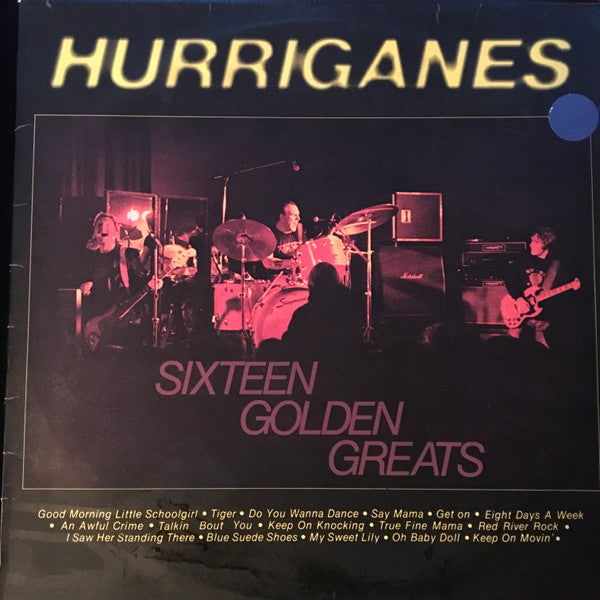 Hurriganes ~ Sixteen Golden Greats (Vinyl) - Djungel & Jazz