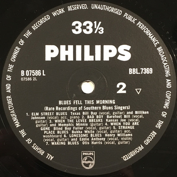 Various ~ Blues Fell This Morning (Rare Recordings Of Southern Blues Singers) (Vinyl) - Djungel & Jazz