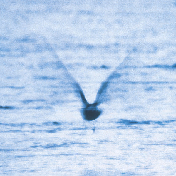 Ryo Fukui ~ Mellow Dream (Vinyl) - Djungel & Jazz