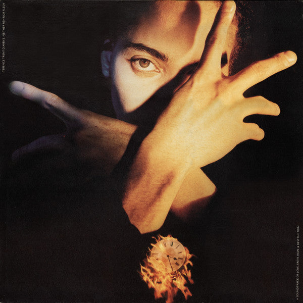 Terence Trent D'Arby ~ Terence Trent D'Arby's Neither Fish Nor Flesh (A Soundtrack Of Love, Faith, Hope & Destruction) (Vinyl) - Djungel & Jazz