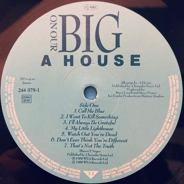 A House ~ On Our Big Fat Merry-Go-Round (Vinyl) - Djungel & Jazz