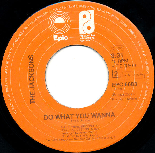 The Jacksons ~ Blame It On The Boogie / Do What You Wanna (Vinyl) - Djungel & Jazz