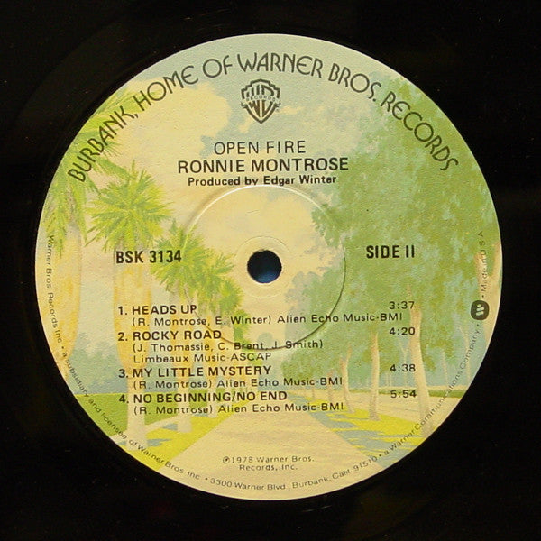 Ronnie Montrose ~ Open Fire (Vinyl) - Djungel & Jazz