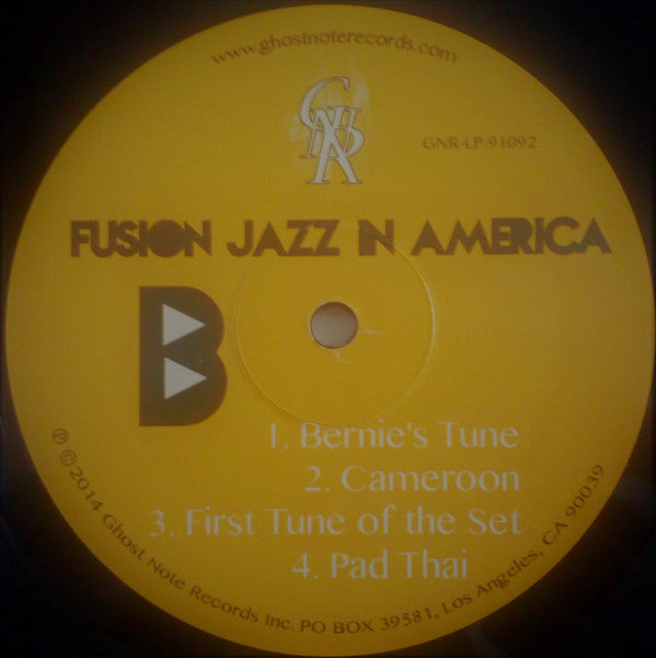 Various ~ Fusion Jazz In America (Vinyl) - Djungel & Jazz