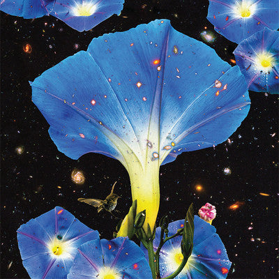 Sarah Louise ~ Nighttime Birds And Morning Stars (Vinyl) - Djungel & Jazz