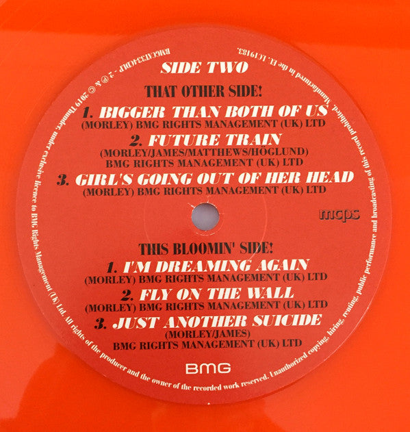 Thunder ~ Please Remain Seated (Vinyl) - Djungel & Jazz