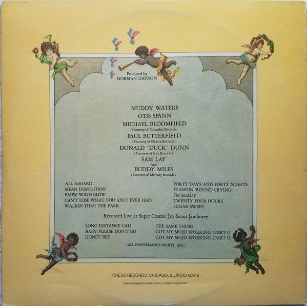 Muddy Waters ~ Fathers And Sons (Vinyl) - Djungel & Jazz