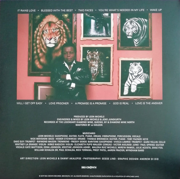 Lee Fields & The Expressions ~ It Rains Love (Vinyl) - Djungel & Jazz