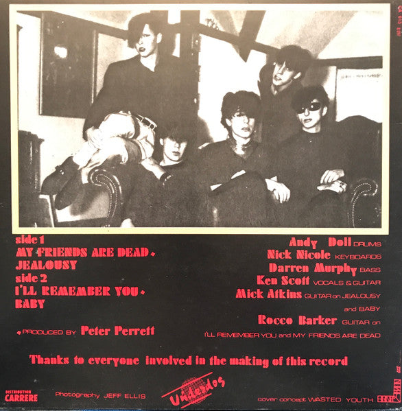 Wasted Youth ~ My Friends Are Dead (Vinyl) - Djungel & Jazz