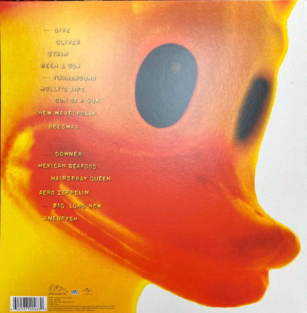 Nirvana ~ Incesticide (Vinyl) - Djungel & Jazz