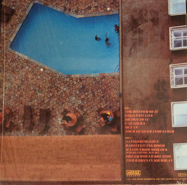 Fruit Bats ~ Gold Past Life (Vinyl) - Djungel & Jazz