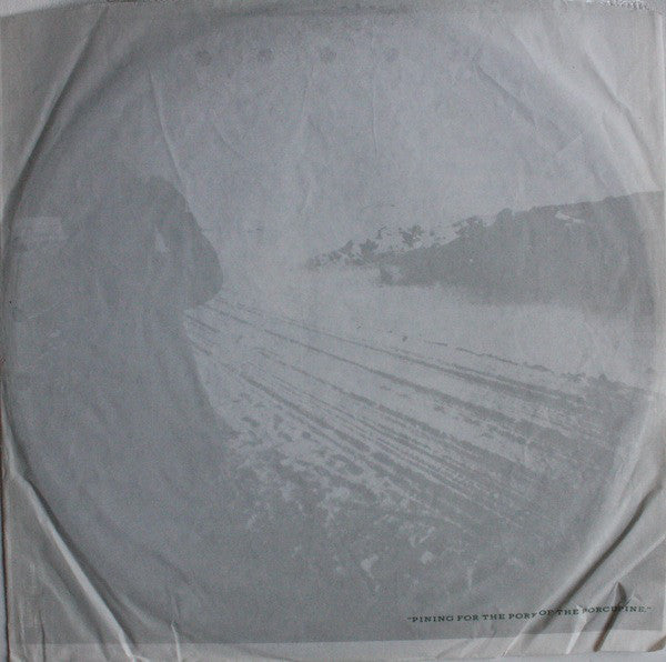 Echo & The Bunnymen ~ Porcupine (Vinyl) - Djungel & Jazz