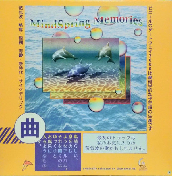 MindSpring Memories ~ GATEWAY 2000 (Vinyl) - Djungel & Jazz